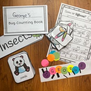 Preschool Insect Activity Box